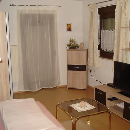 Apartment Haus Steinwaldblick